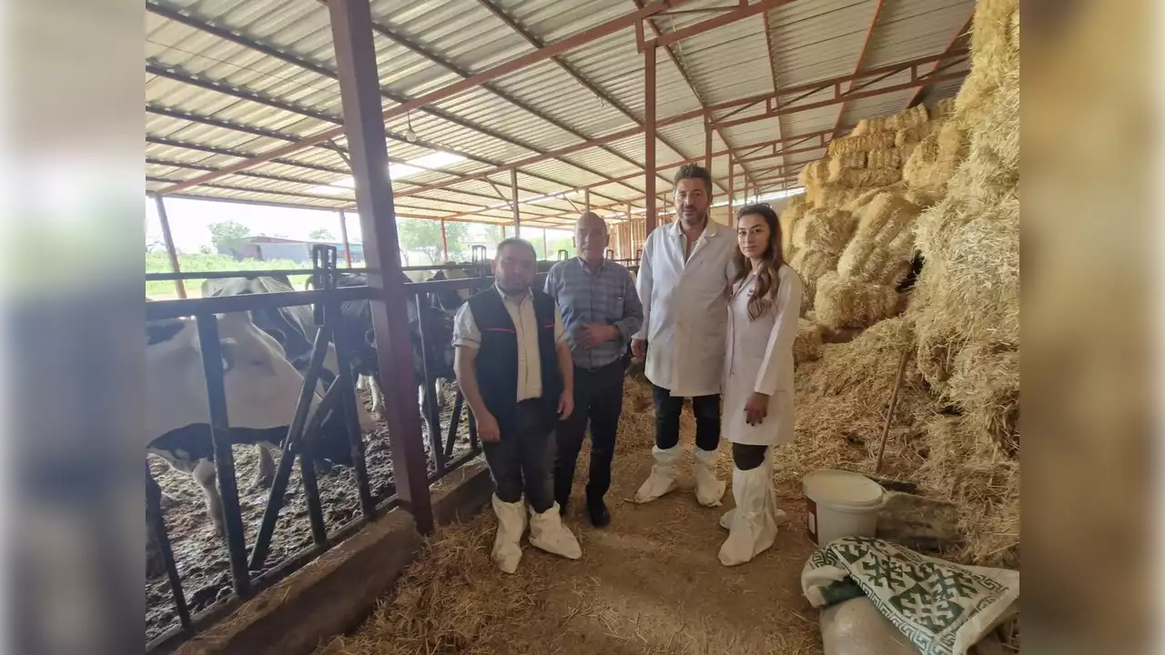 Uşak Tarım Müdürlüğü Süt Verimi ve Toprak Analizi İçin Sahalarda