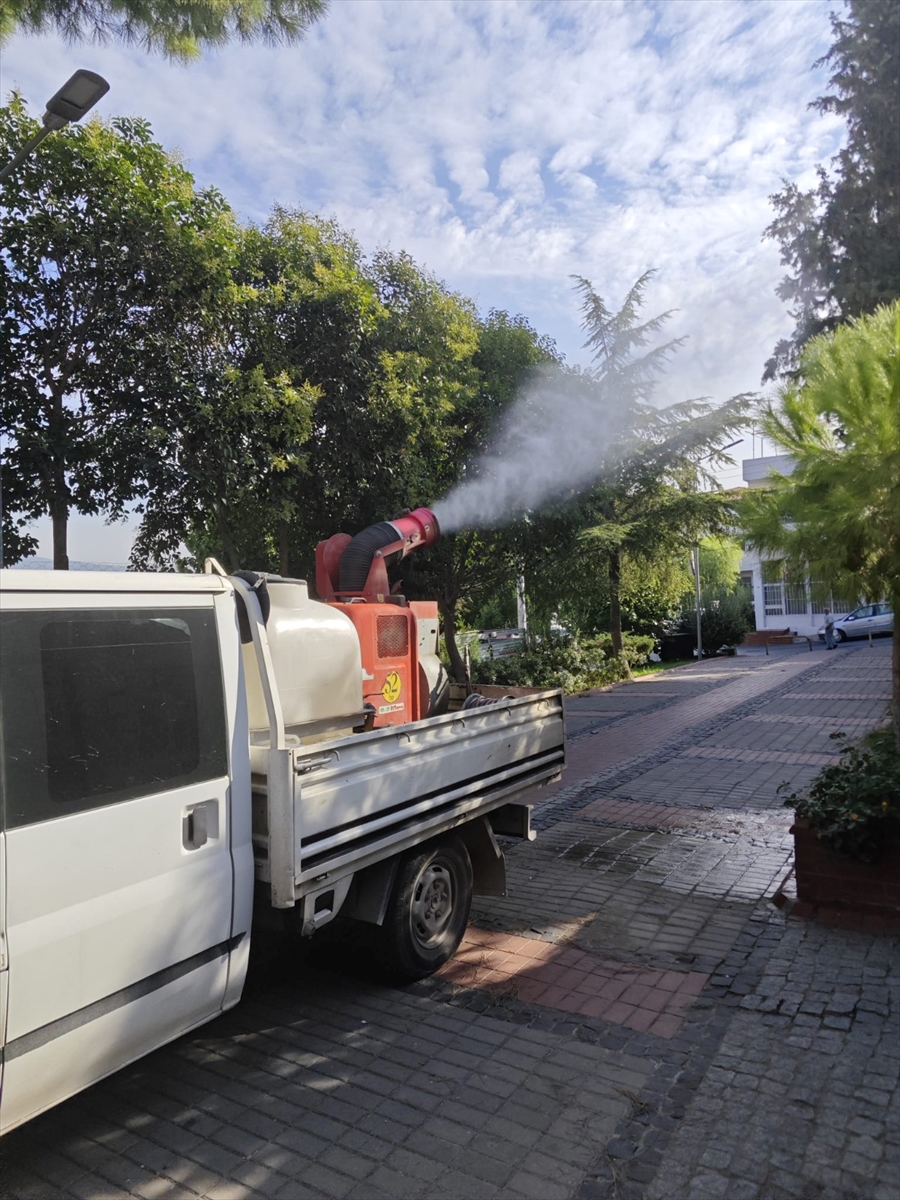 İzmir'de beyazsineğe karşı ilaçlama çalışması yürütülüyor