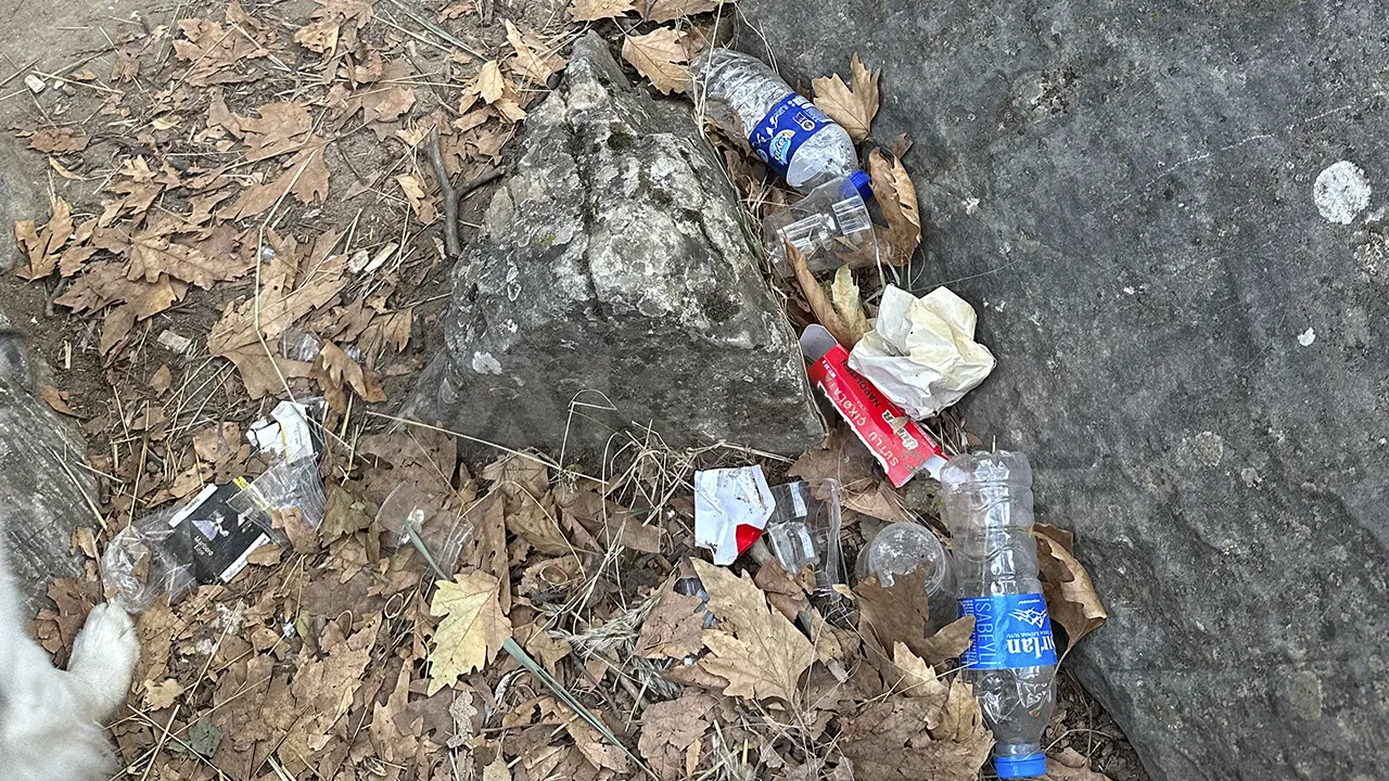 İzmir'in Çiğli ilçesinde toplanmayan çöpler kötü koku ve kirlilik oluşturdu
