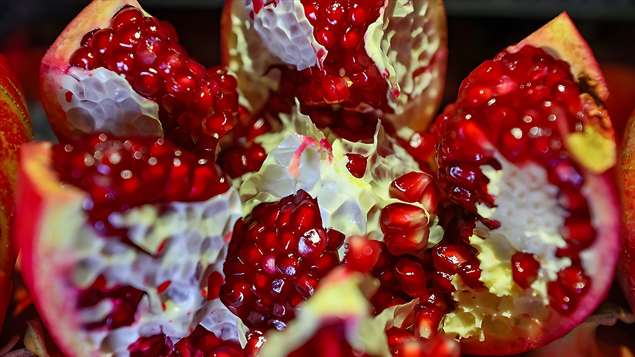 Narda "faydalı böcek" zirai ilacı azalttı, verimi artırdı