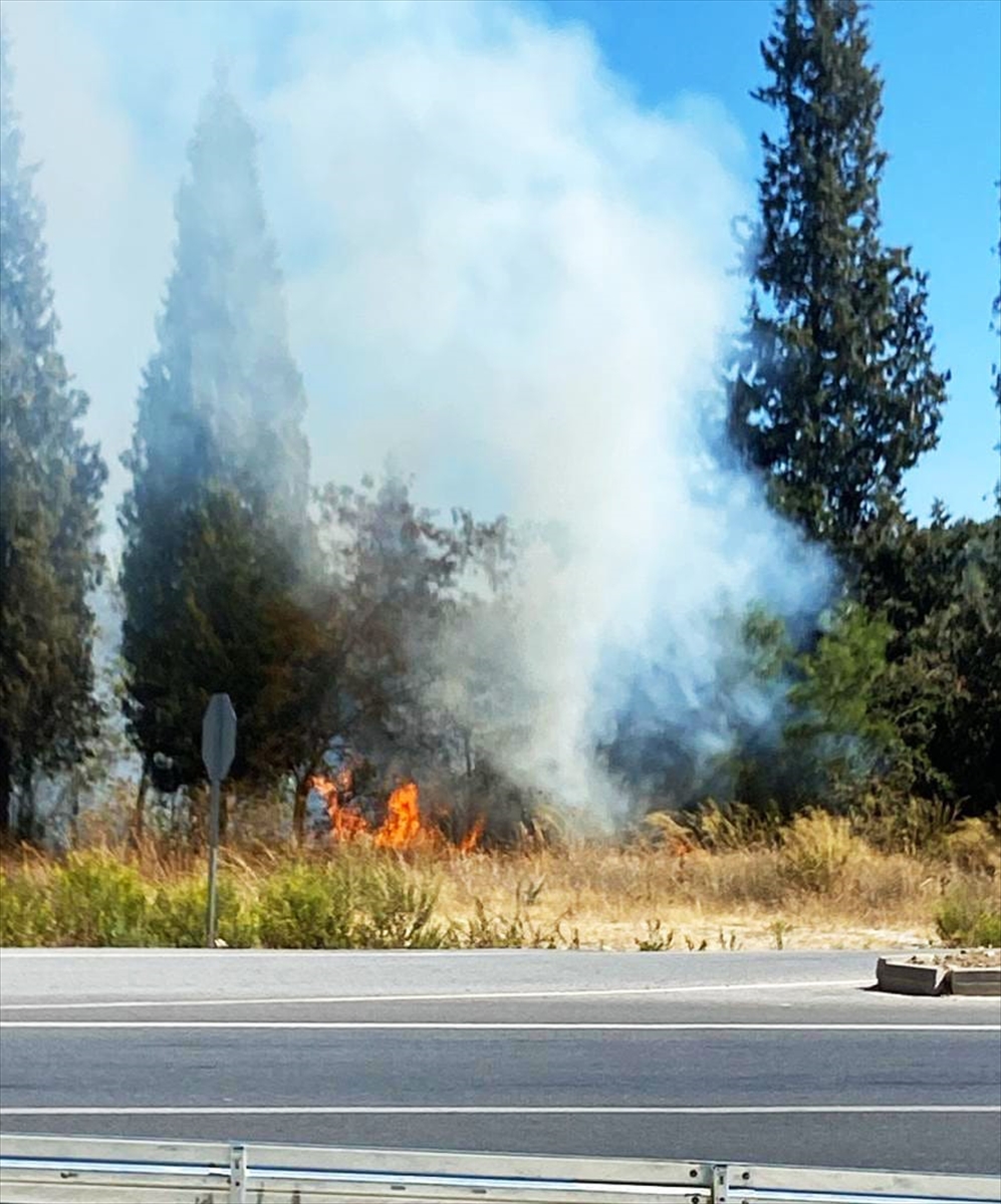 Muğla'da antik kent yakınlarında çıkan orman yangını söndürüldü