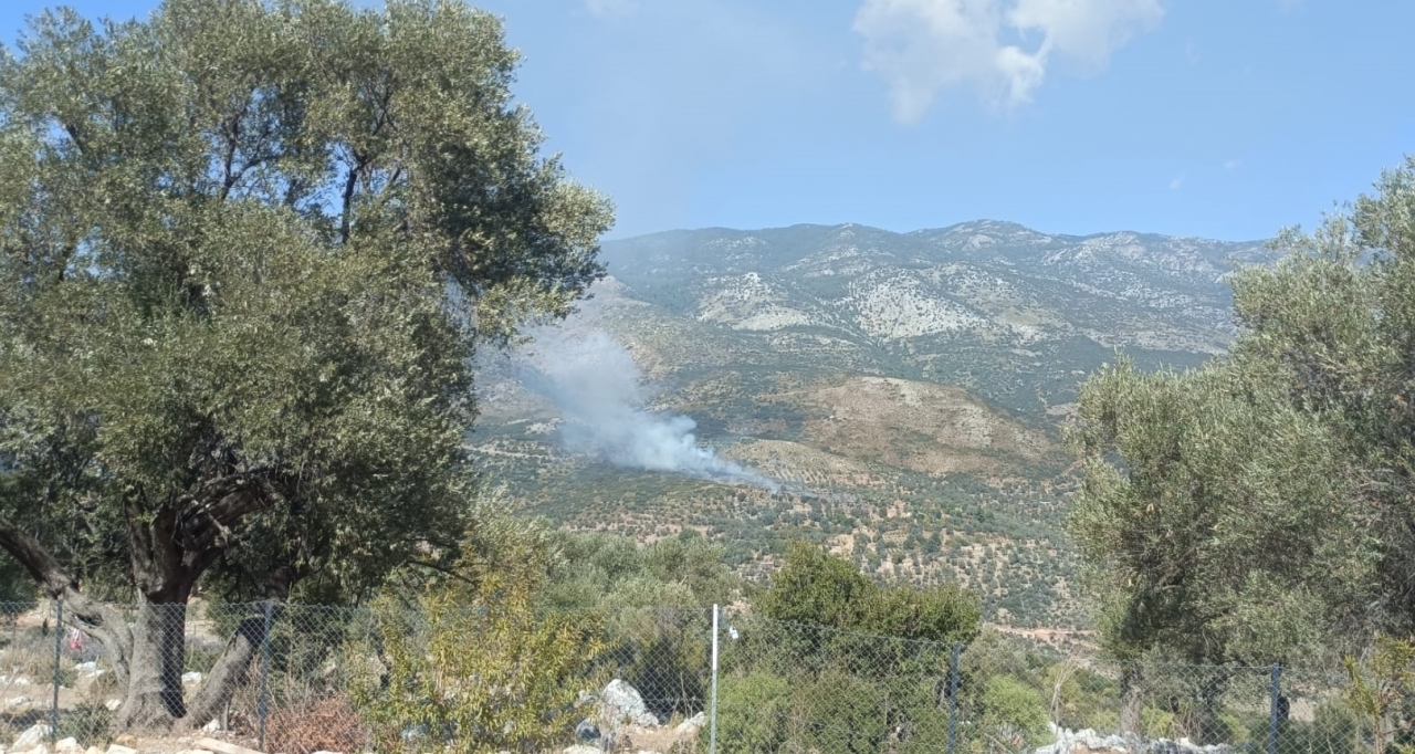 Muğla'da çıkan yangında 2 hektar makilik ve tarım alanı zarar gördü