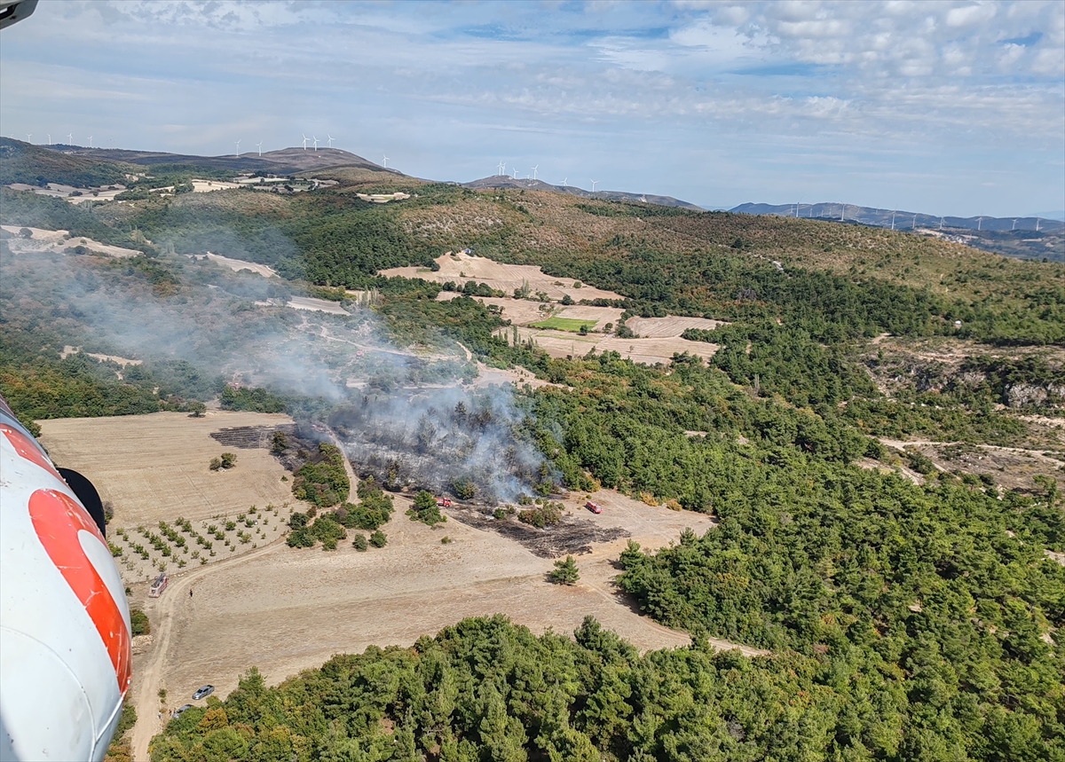 Manisa Kırkağaç'ta tarlada başlayan yangın ormana sıçradı