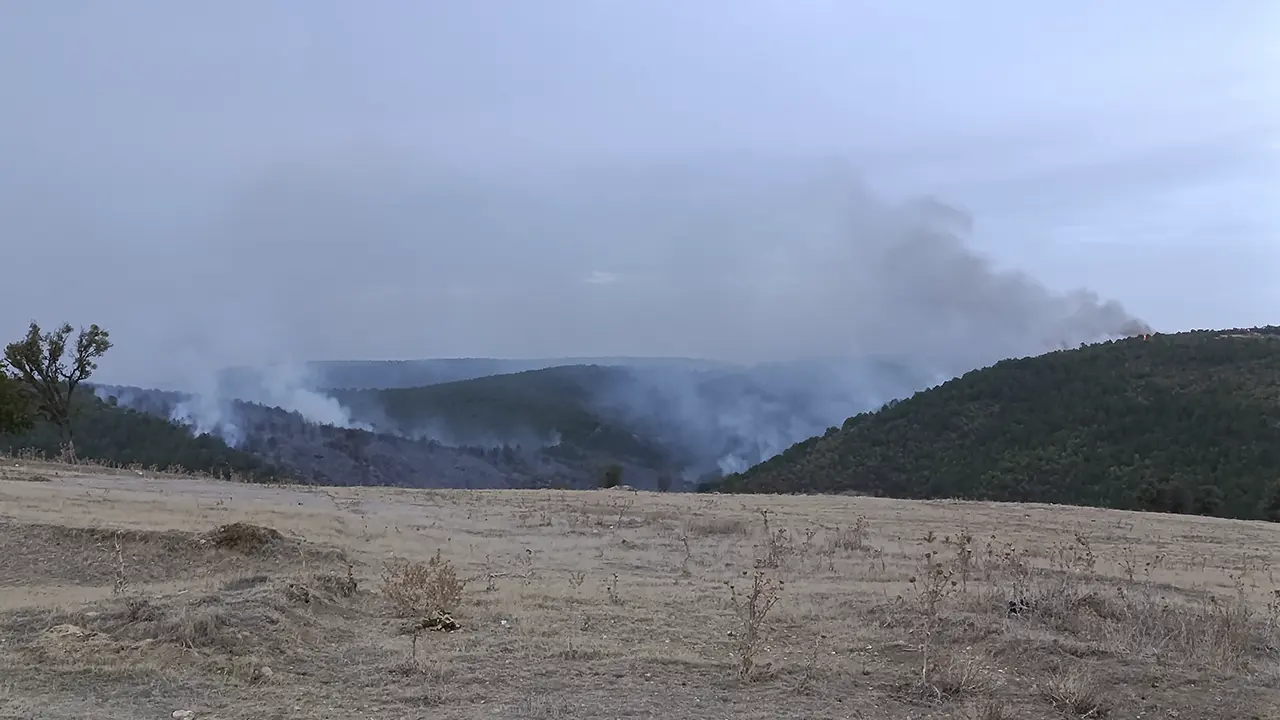 Uşak’ta Orman Yangını! Yeşilhisar Göleti Bölgesinde Yangın Çıktı
