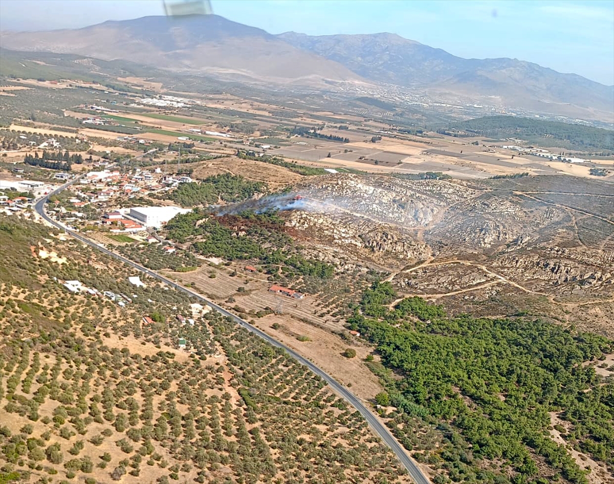 İzmir Foça'da ormanlık alanda yangın çıktı