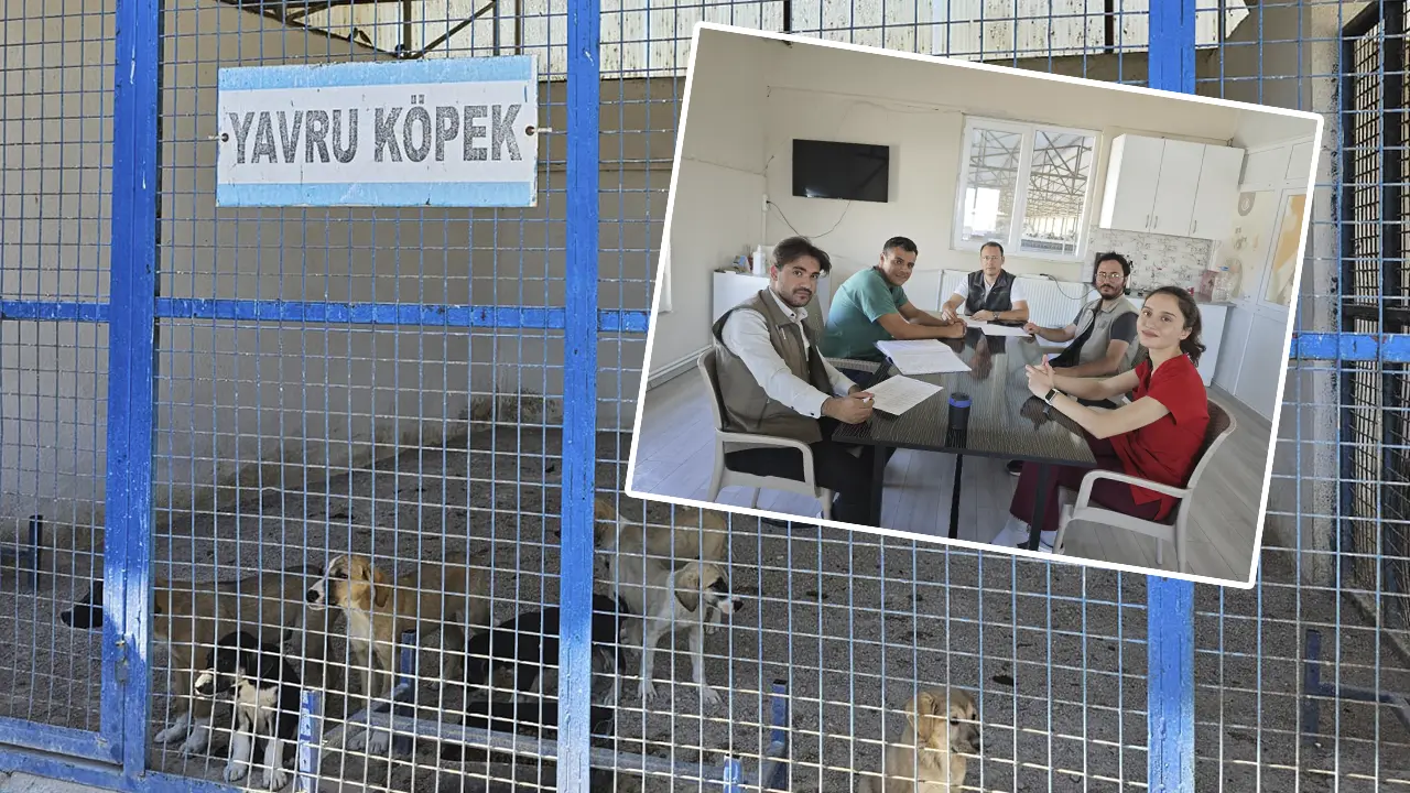 Uşak ve Banaz’daki Hayvan Bakımevleri Denetlendi
