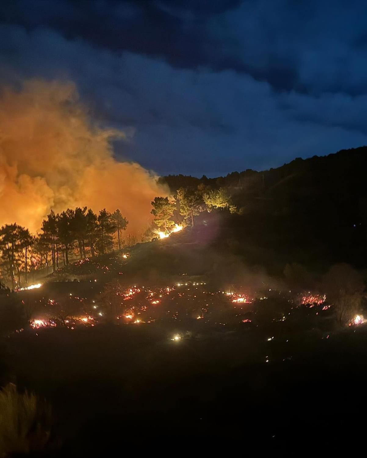 Muğla'da çıkan iki orman yangınına müdahale ediliyor