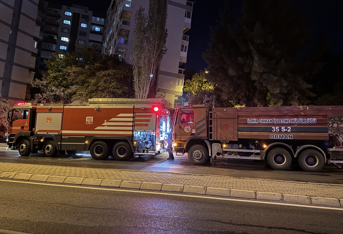 İzmir'in Gaziemir ilçesinde orman yangını çıktı