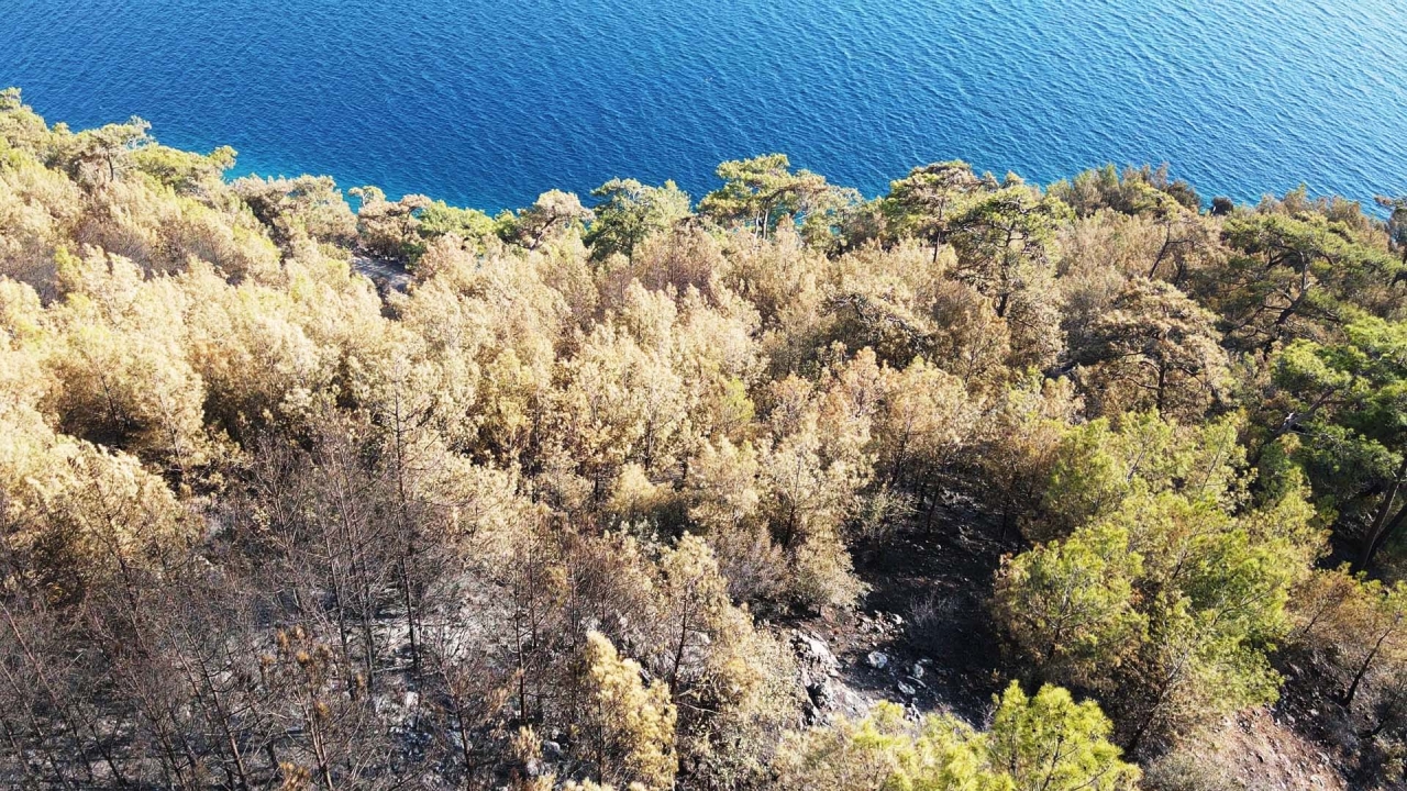 Menteşe'de orman yangınından etkilenen alanlar havadan görüntülendi