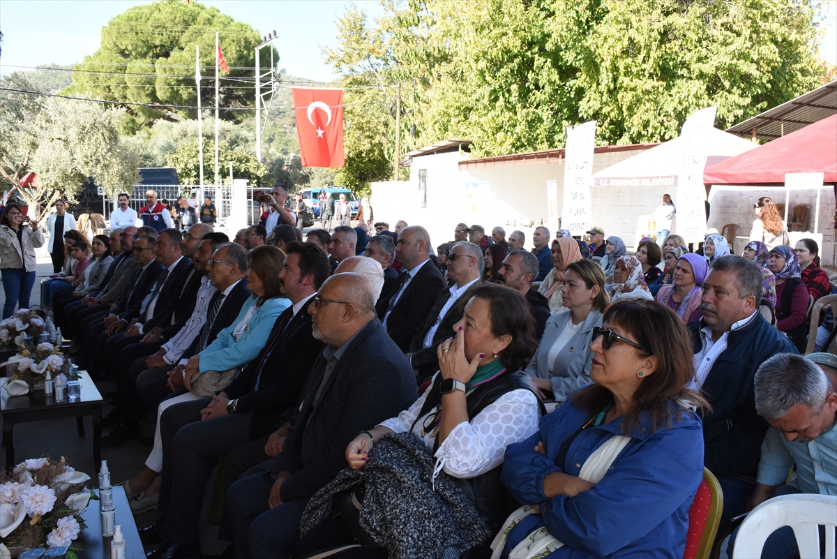 Germencik'te zeytinyağı sezonu açılış festivali düzenlendi