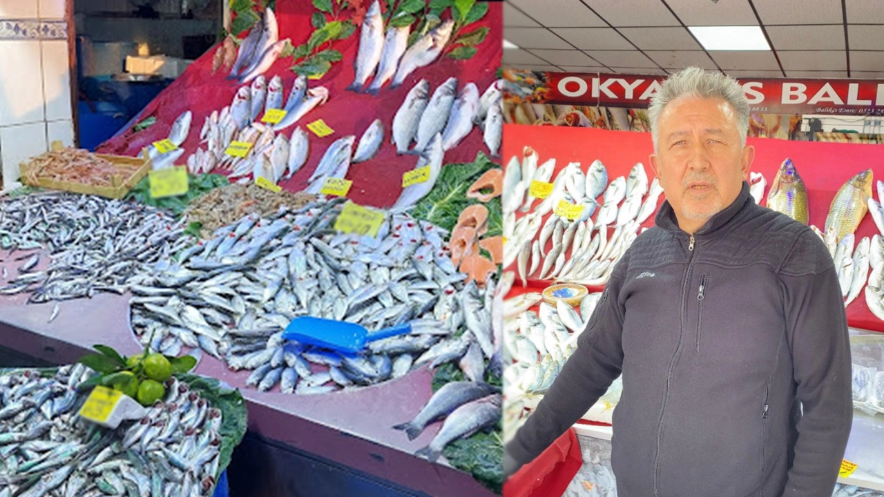 Kasım Ayında Hangi Balıklar Sofraya Uygun? Usta Balıkçı Yanıtladı
