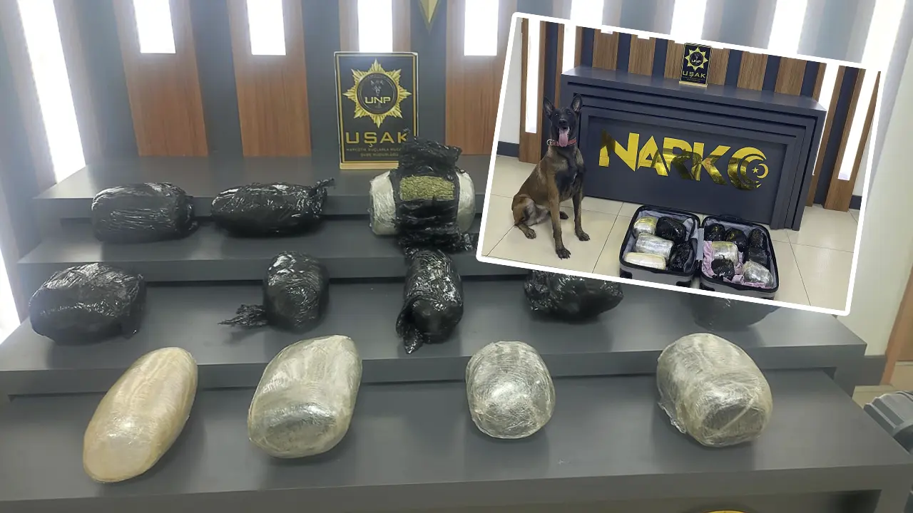 Dedektör Köpek Uşak'ta 10.9 Kilo Esrar Buldu