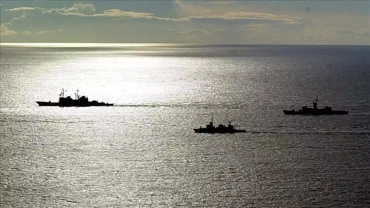İzmir'de bulunan Akdeniz foku tedavisinin ardından denize bırakıldı