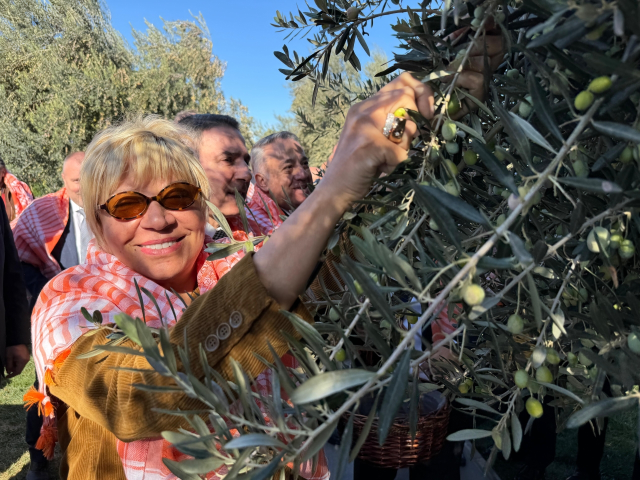 İzmir'de zeytin ve zeytinyağı sezon açılış töreni yapıldı