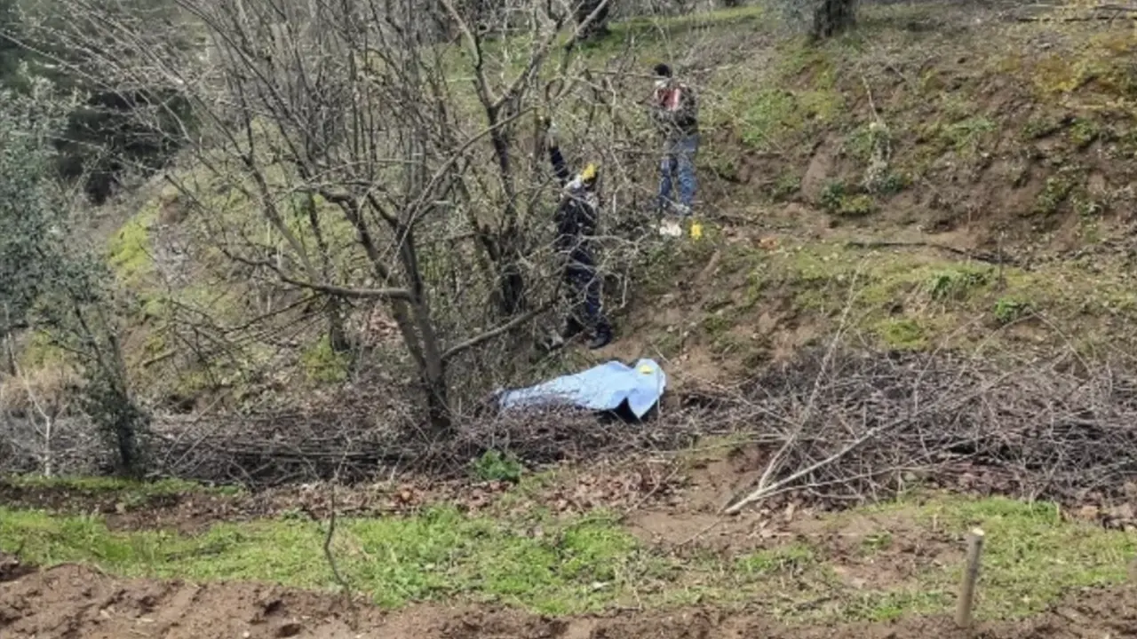 Banaz'da Ağaçtan Düşen Emine Doğan Yaşamını Kaybetti
