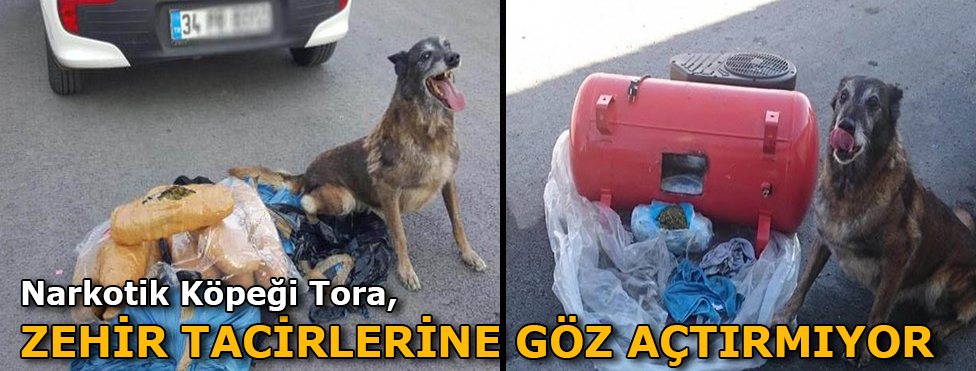 TORA İLE UYUŞTURUCU OPERASYONU