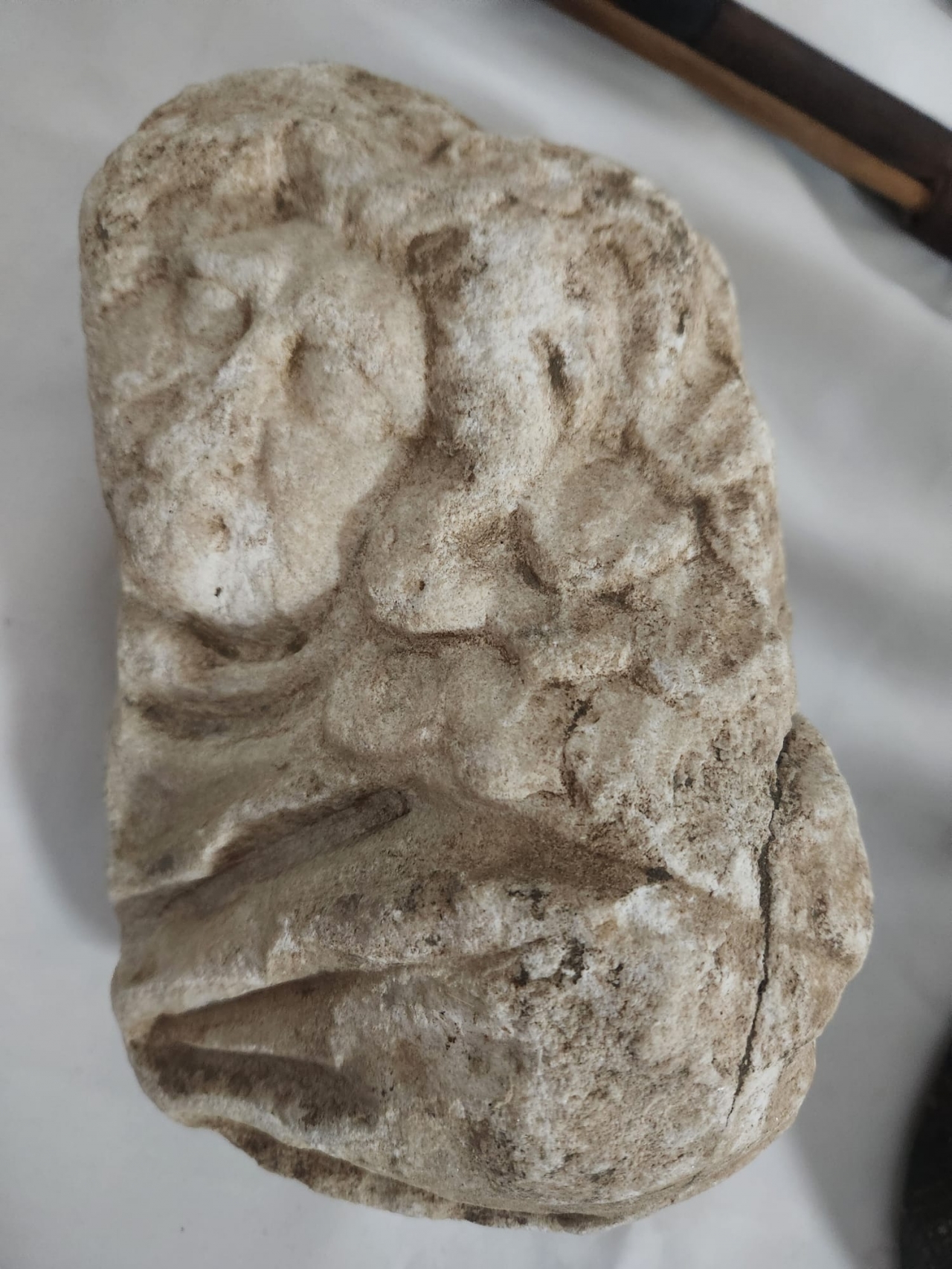 Karacasu'da tarihi eser kaçakçılığı yaptığı öne sürülen kişi yakalandı
