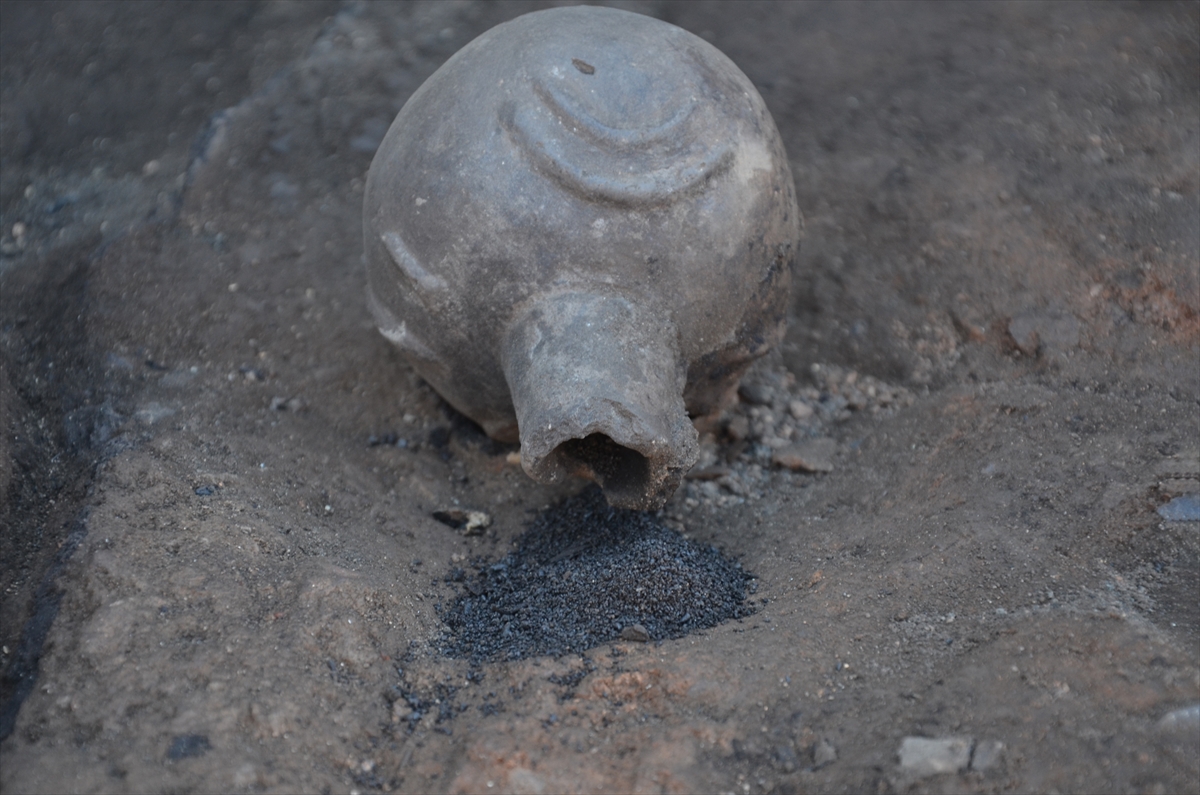 Seyitömer Höyüğü'nde Tunç Çağı'ndan kalma haşhaş ve nohut taneleri bulundu