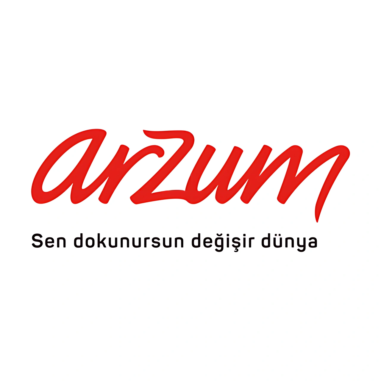 Arzum'un yılın ilk 9 aylık hasılatı 3,8 milyar lira oldu