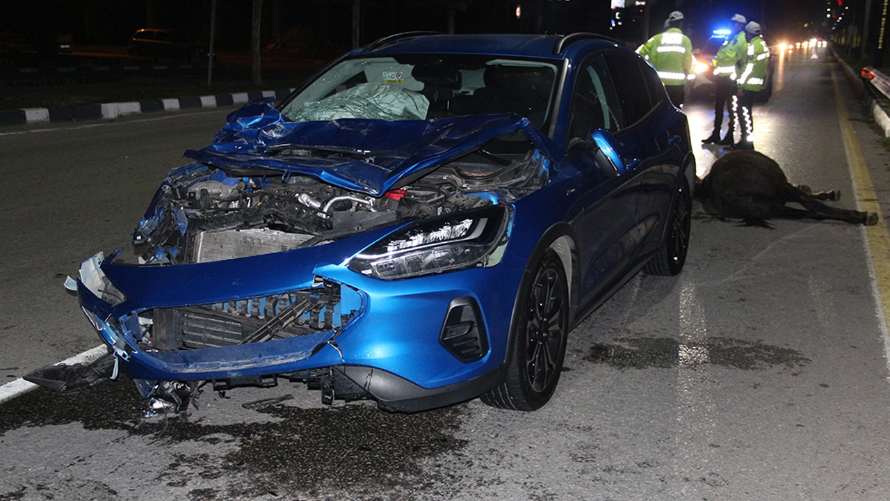 Manisa'da yola çıkan ata çarpan otomobildeki 3 kişi yaralandı