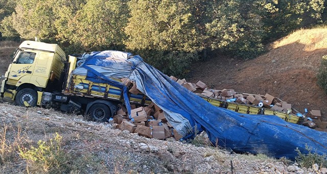 Uşak'ta şarampole devrilen tırın sürücüsü yaralandı