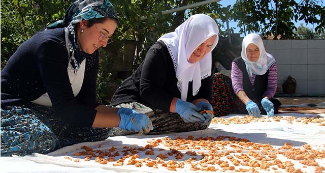 UŞAKLI KADINLAR TESCİLLİ TARHANA İÇİN BİR ARAYA GELDİ