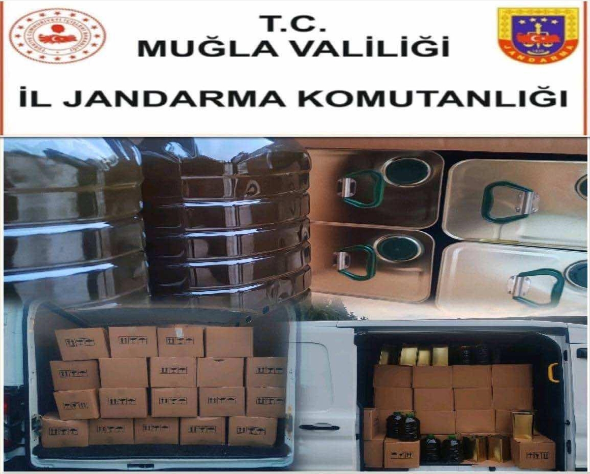Muğla'da 1520 litre sahte zeytinyağı ele geçirildi
