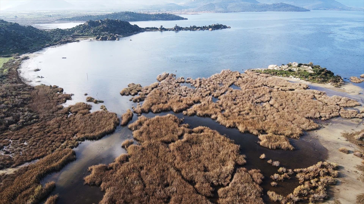 Muğla ve çevresindeki yağış bereketi Bafa Gölü'ne nefes aldırdı