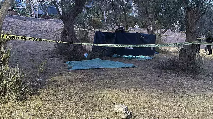 İzmir'de ağaca çarpan otomobilin sürücüsü öldü