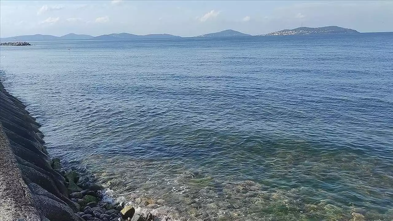 "Deniz ısı dalgaları" suyun altını da üstünü de tehdit ediyor