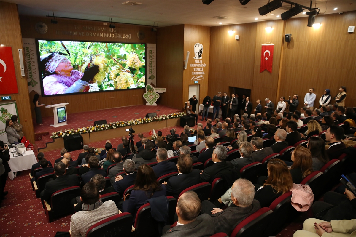 Manisa'da "Bağcılığın Yol Haritası: Manisa Üzüm Çalıştayı" yapıldı