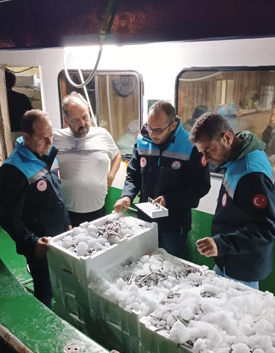 Bodrum'da Reis 48 kontrol ve denetim gemisiyle denizde denetim yapıldı