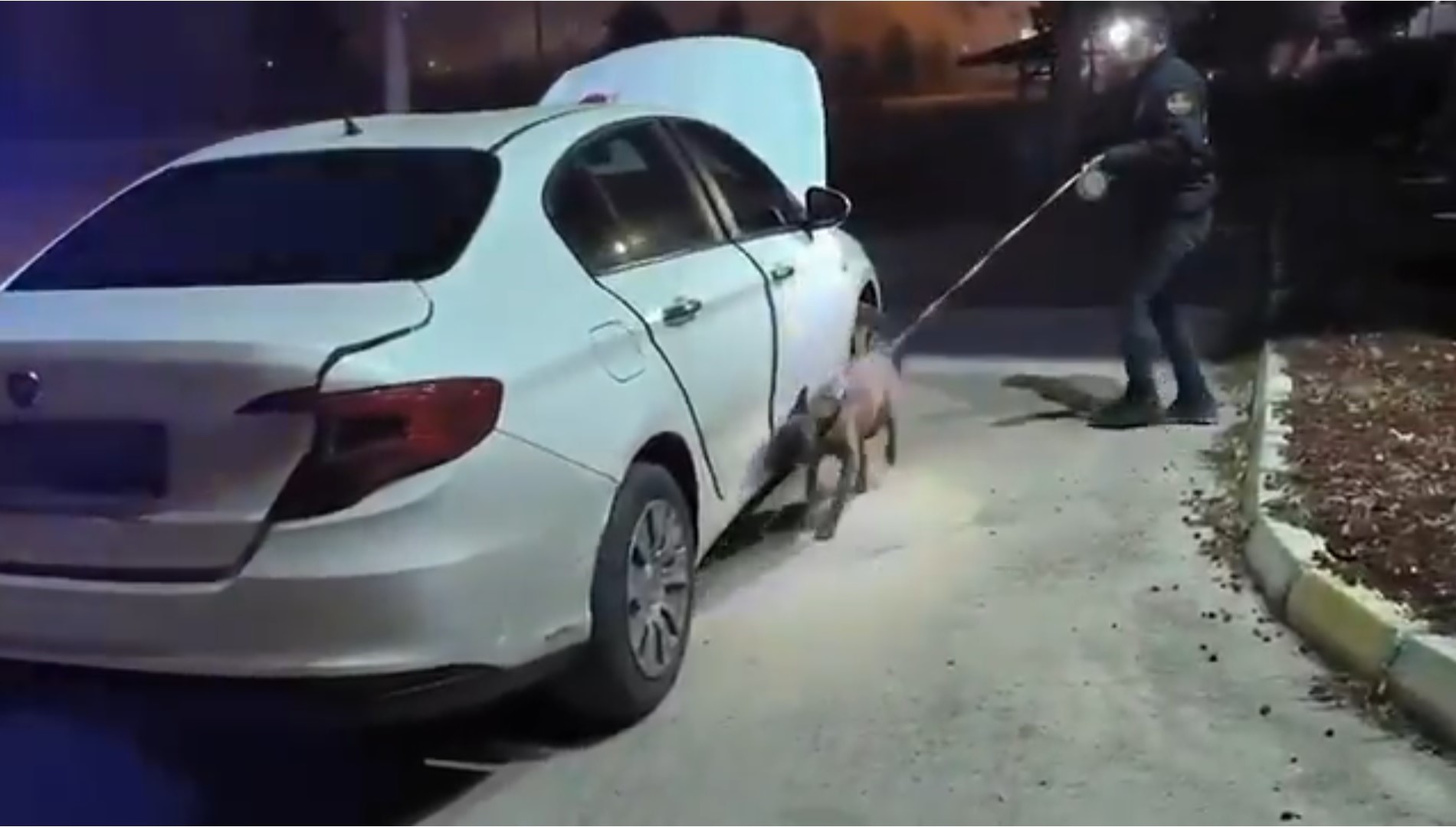 Aydın'da uyuşturucu operasyonunda yakalanan 3 zanlı tutuklandı