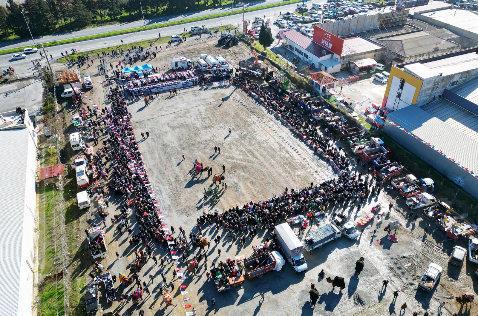 Aydın'ın Söke ilçesinde 10. Deve Güreşi Festivali düzenlendi