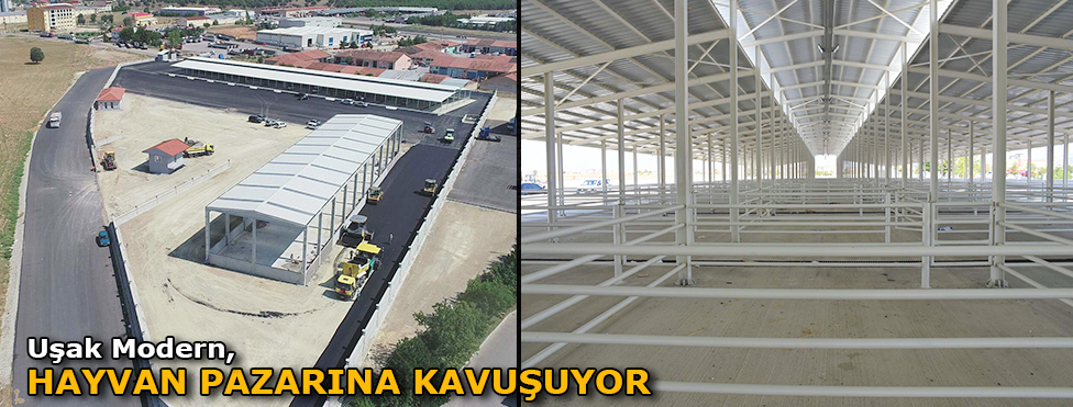 UŞAK MODERN HAYVAN PAZARINA KAVUŞUYOR