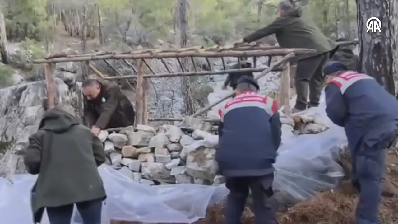 Muğla'da yaban keçisi avlamak için yapılan 5 baraka yıkıldı