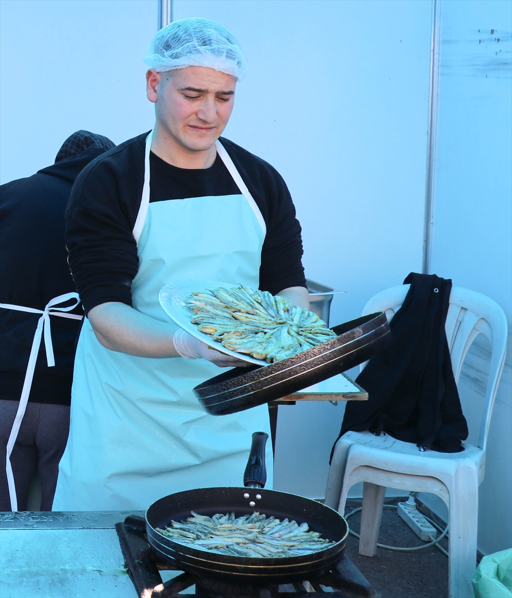 İzmir'de hamsi şenliğinde 5 ton hamsi dağıtıldı