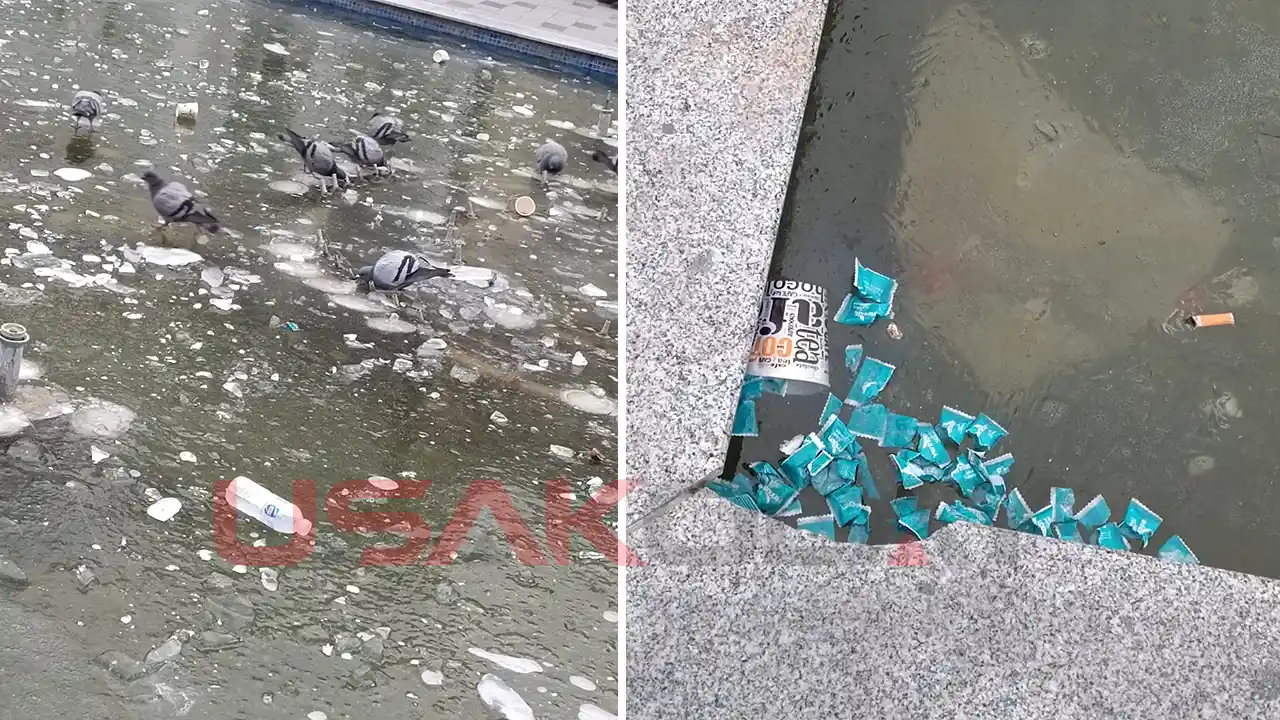 Uşak'ta Buz Tutan Havuz Çöplüğe Döndü