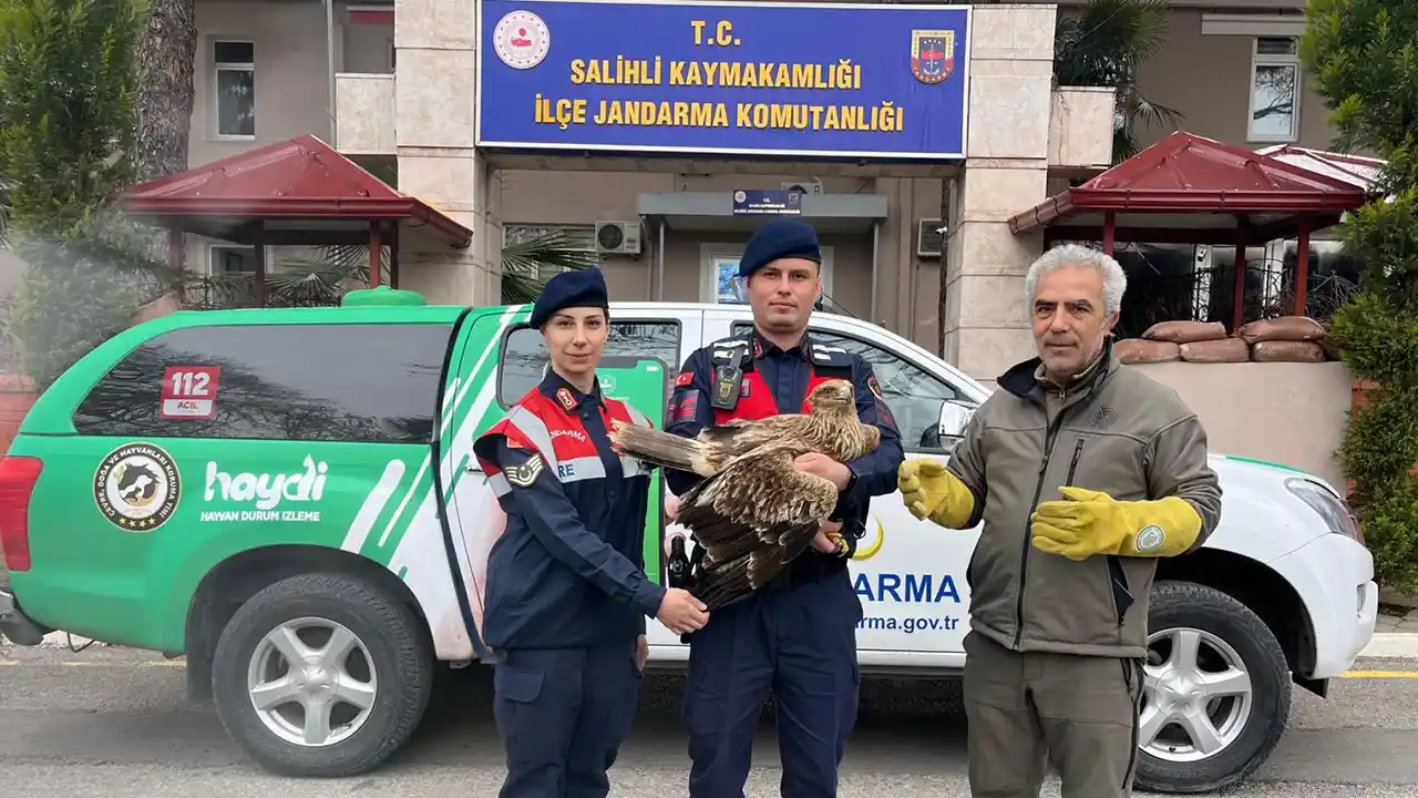 Salihli'de jandarmanın bulduğu yaralı kızıl şahin tedaviye alındı