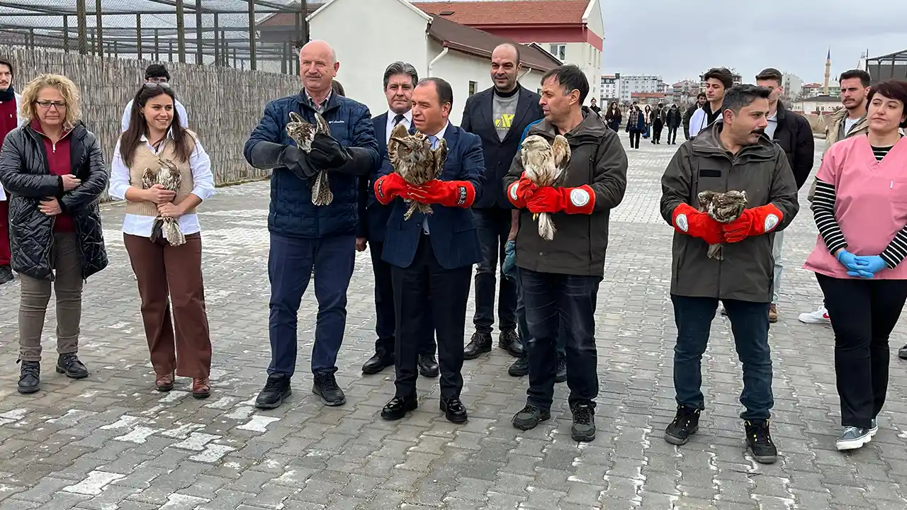 Afyonkarahisar'da tedavileri tamamlanan 13 kuş doğaya salındı