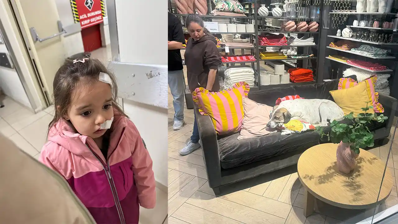 İzmir'de alışveriş merkezinde sahipsiz köpeğin saldırdığı 3 yaşındaki çocuk yaralandı