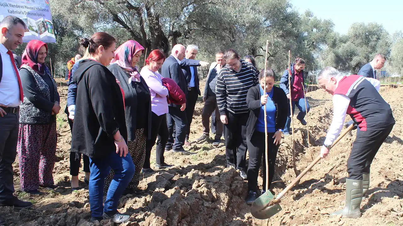 Ödemiş'te ipek böceği yetiştiriciliği için dut fidanı dikildi