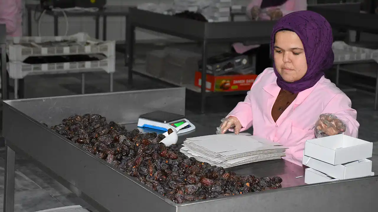 Gündüz hurma ve kuru meyve paketliyor, akşam EKPSS'ye hazırlanıyor