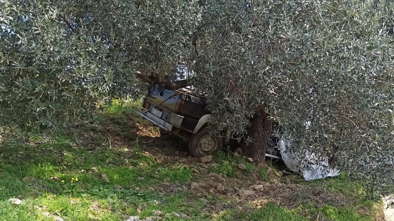 Aydın'da ağaca çarpan pikabın sürücüsü öldü