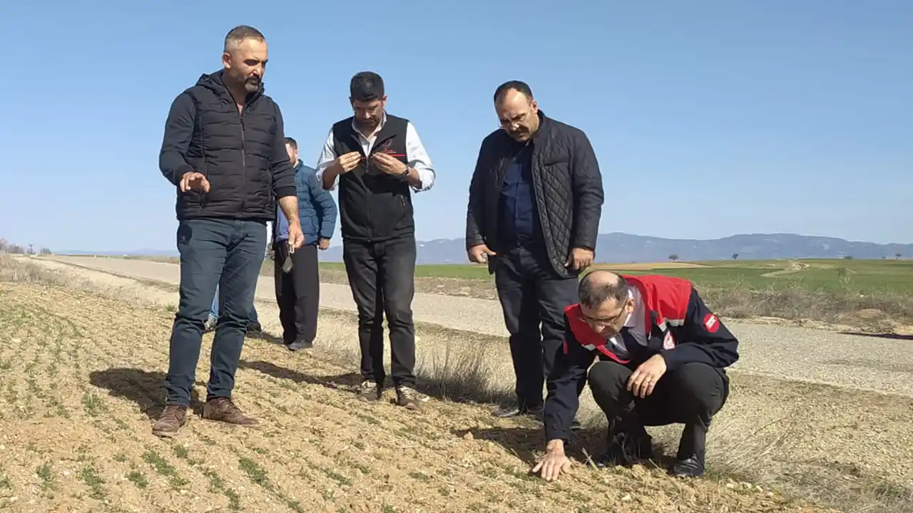 Uşak Tarım İl Müdürlüğü’nden Yoncalı’da Tarımsal İnceleme