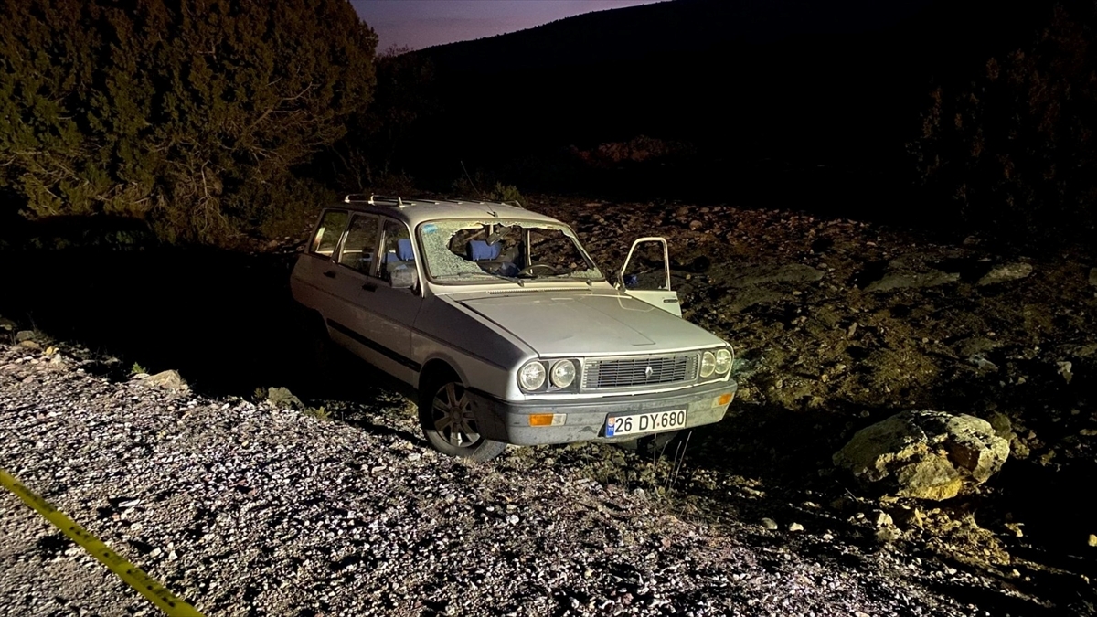 Afyonkarahisar'da devrilen otomobilin sürücüsü öldü