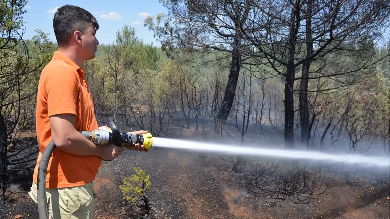Aydın'da çıkan orman yangını kontrol altına alındı