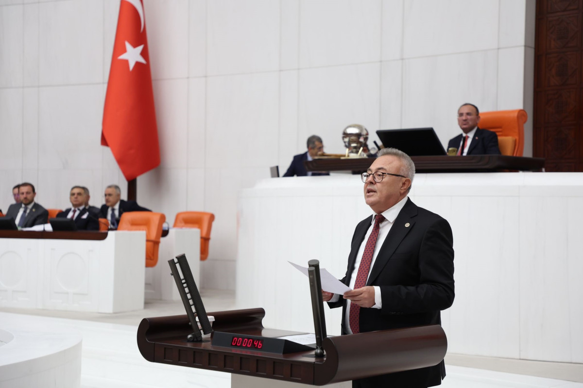 Karaoba: Neden Yerli Ceviz Yerine Şili ve Çin’den İthal Ediyoruz?