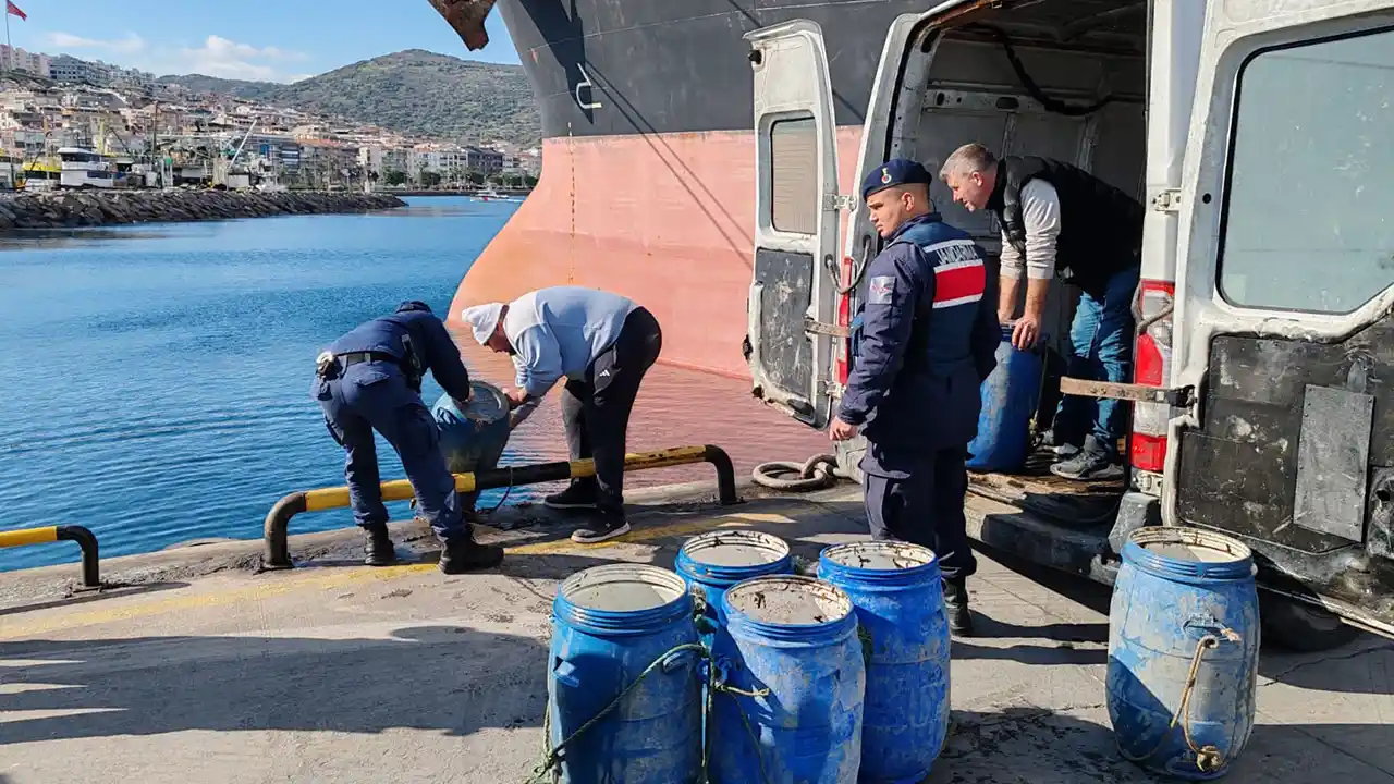 İzmir'de kaçak avlanan 600 kilogram deniz patlıcanı suya bırakıldı
