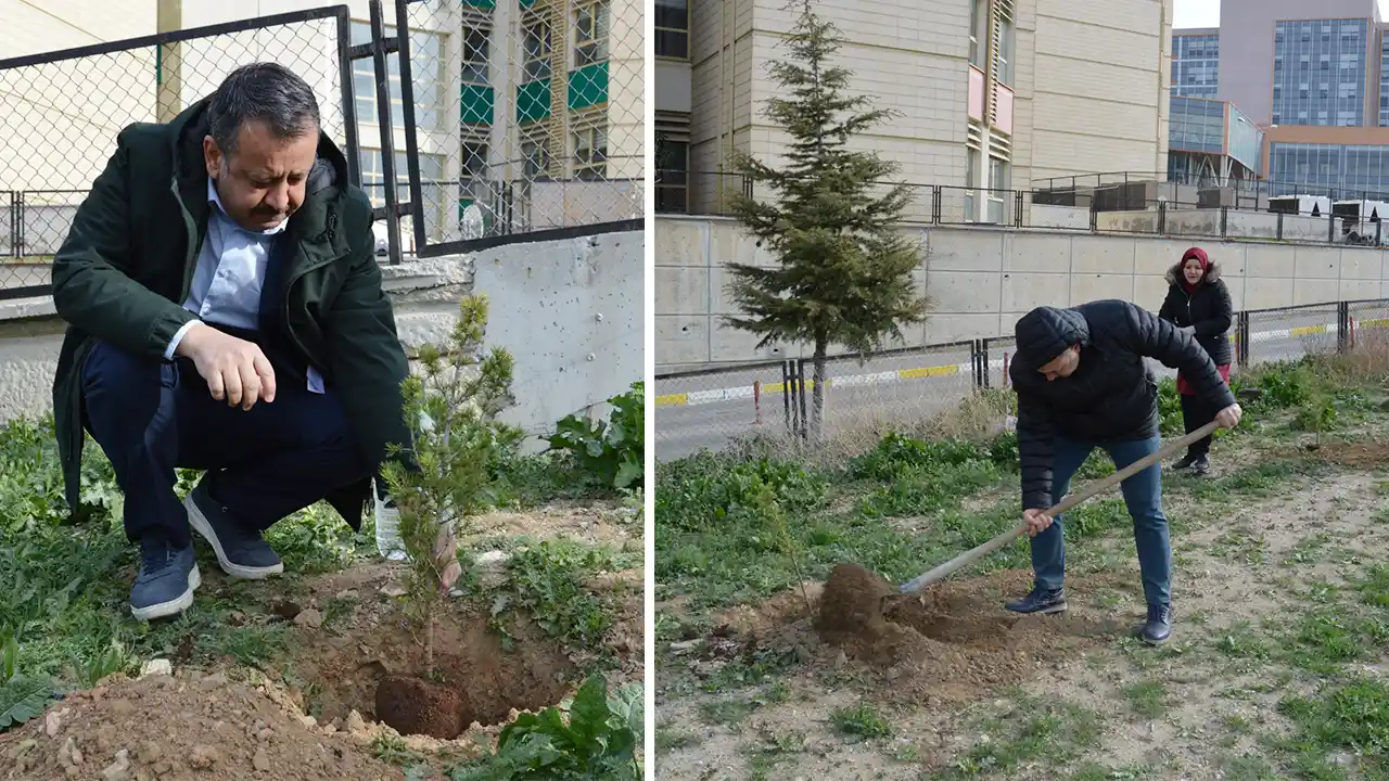 Hastane Bahçesinde Fidanlar Toprakla Buluştu